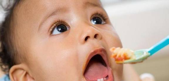 海苔|辅食推荐:6-18个月宝宝零食清单,不同月龄零食推荐及挑选原则