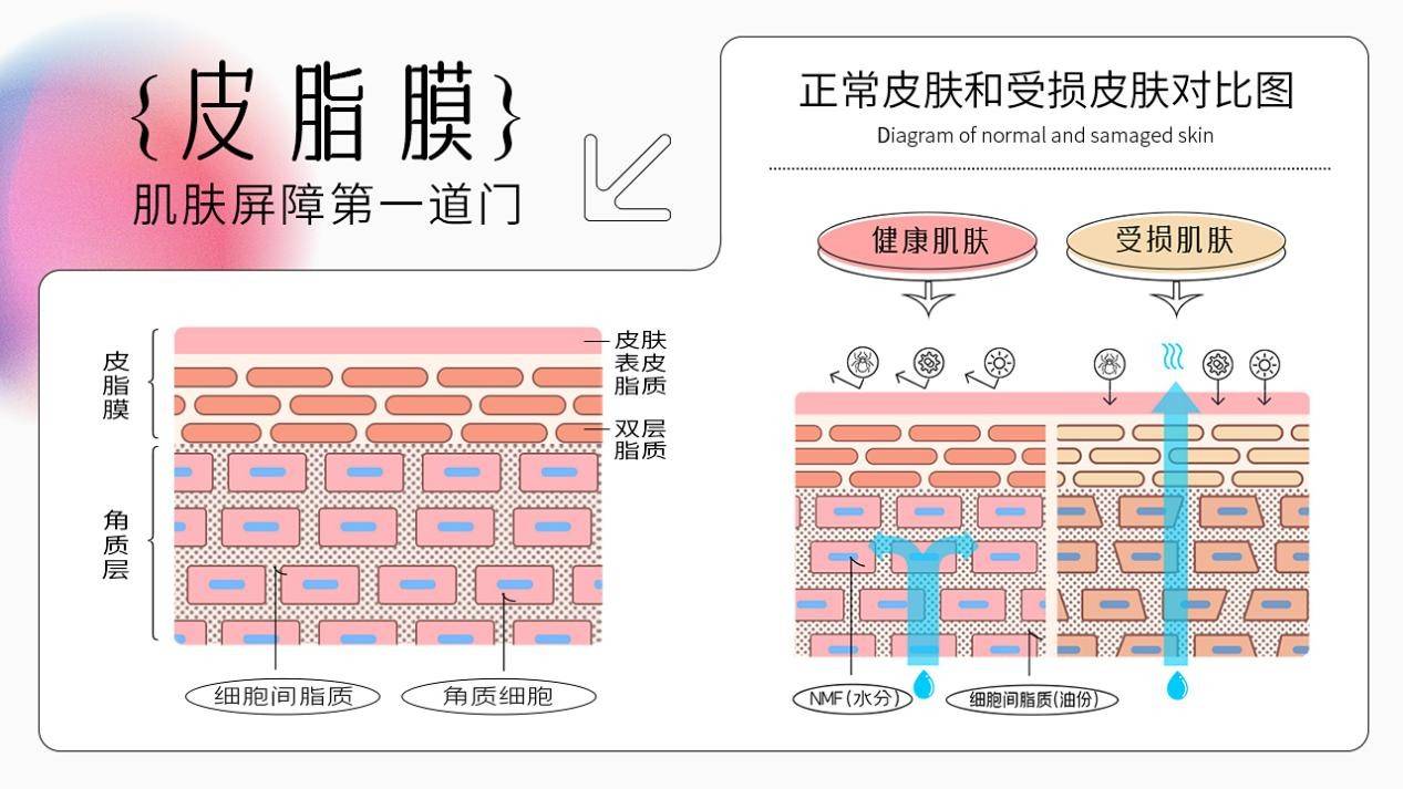 医学依托斯启诺皮科连锁，SKINNOS双十一全面上线