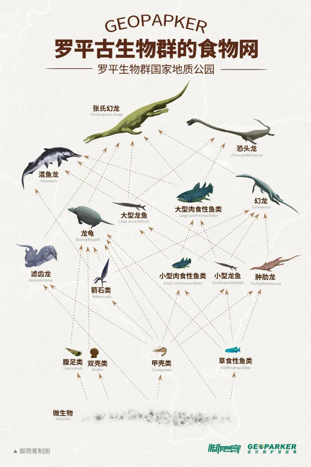 寻觅远古生物探索古今罗平