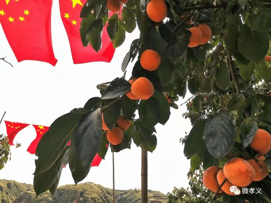 孝义|深秋，请君入孝义，邂逅秋天的浪漫