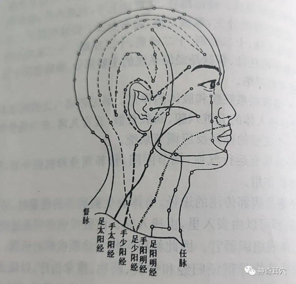 益康耳穴 耳朵与经络两者之间存在什么样的关系?