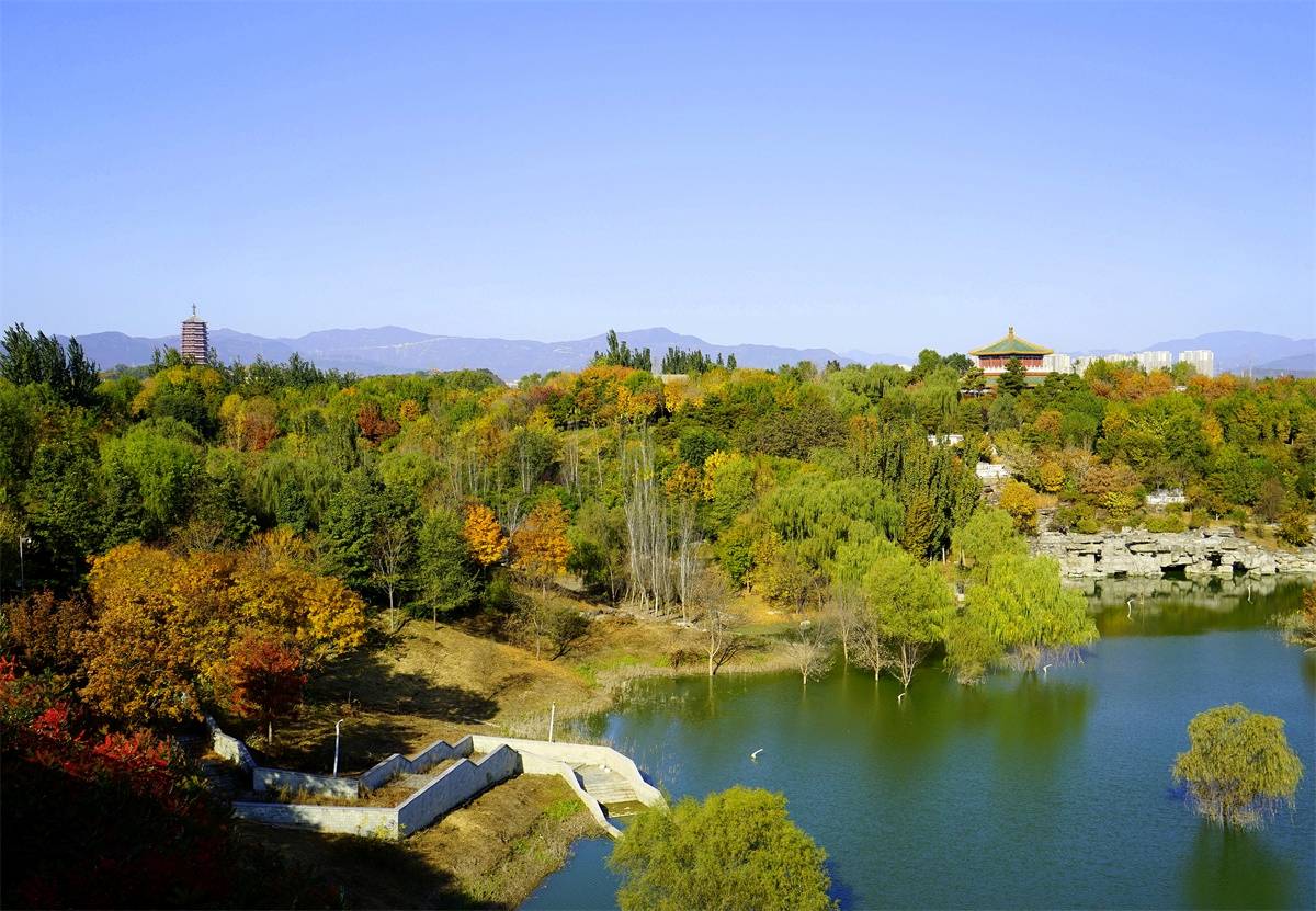 原创园博园美丽天成的画卷赏秋正当时