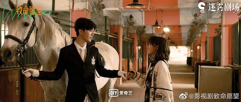 愿望|11月定挡10部剧!《一见倾心》定档,杨幂《斛珠》、罗云熙《良言写意》虐恋