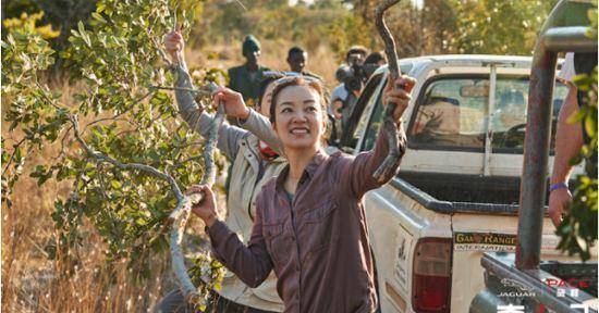 地方|阿雅跑去主持真人秀,《奇遇人生》里的小S你还认识吗?