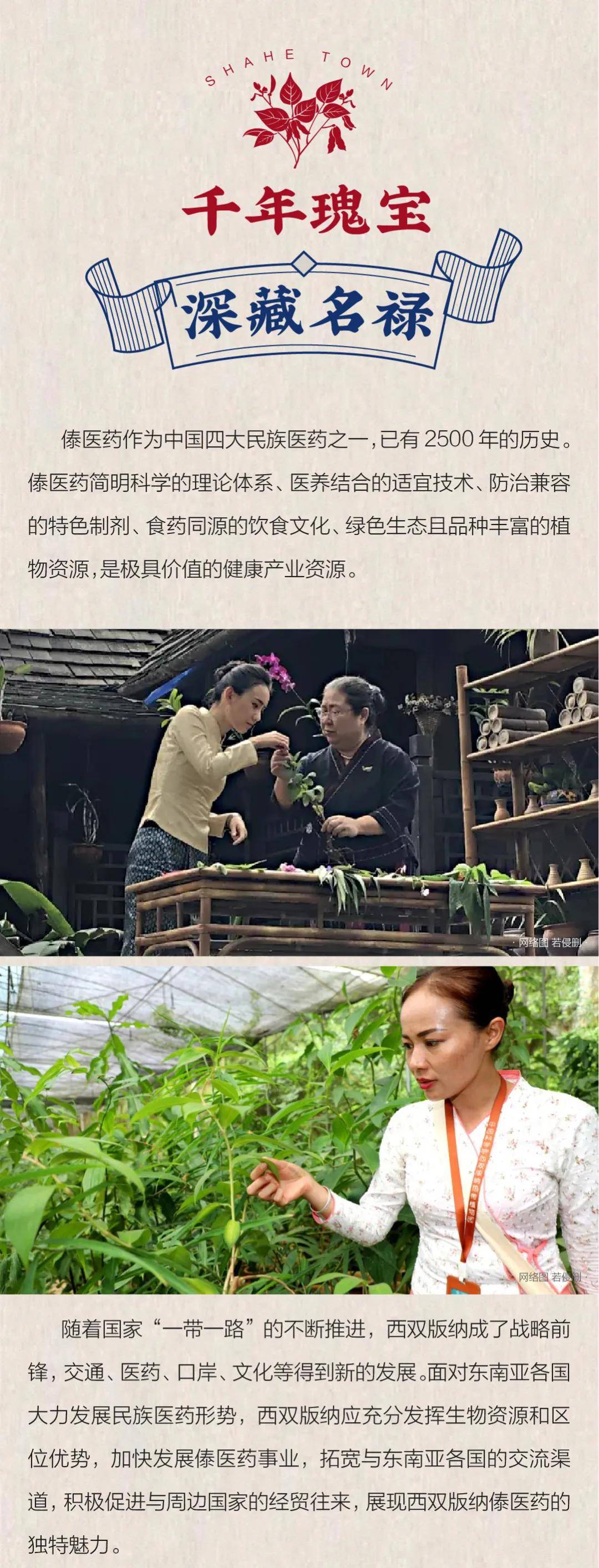 贝叶经上的医学傣医药