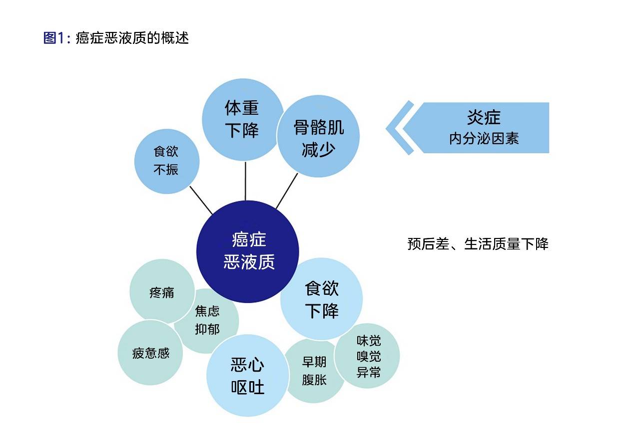 方法|日本首个治疗癌症恶病质新药阿那莫林Adlumiz(anamorelin)上市