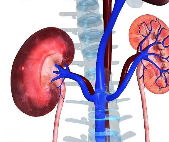 人群|不妨坦白：这4类人群，尤其要关注“慢性肾病”