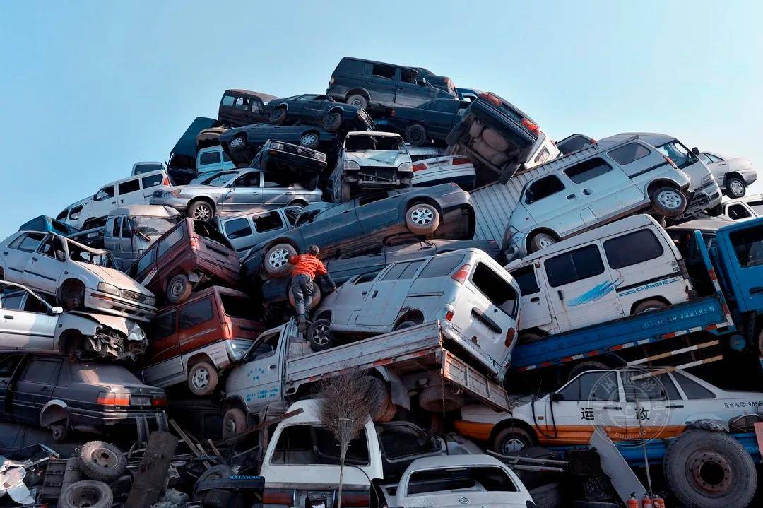 浙江省|2021丽水摄影节 | 《我和地球争呼吸》郑祖林摄影作品展