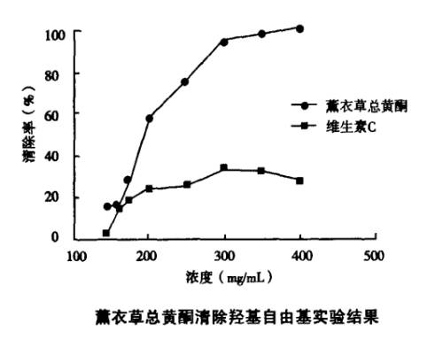 薰衣草澄澈控油——蓝桉叶和它的小伙伴们