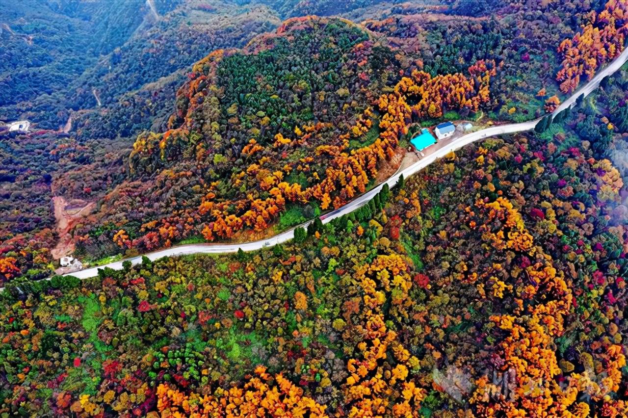湖北巴东绿葱坡镇漫山遍野红叶犹如绚丽多彩油画
