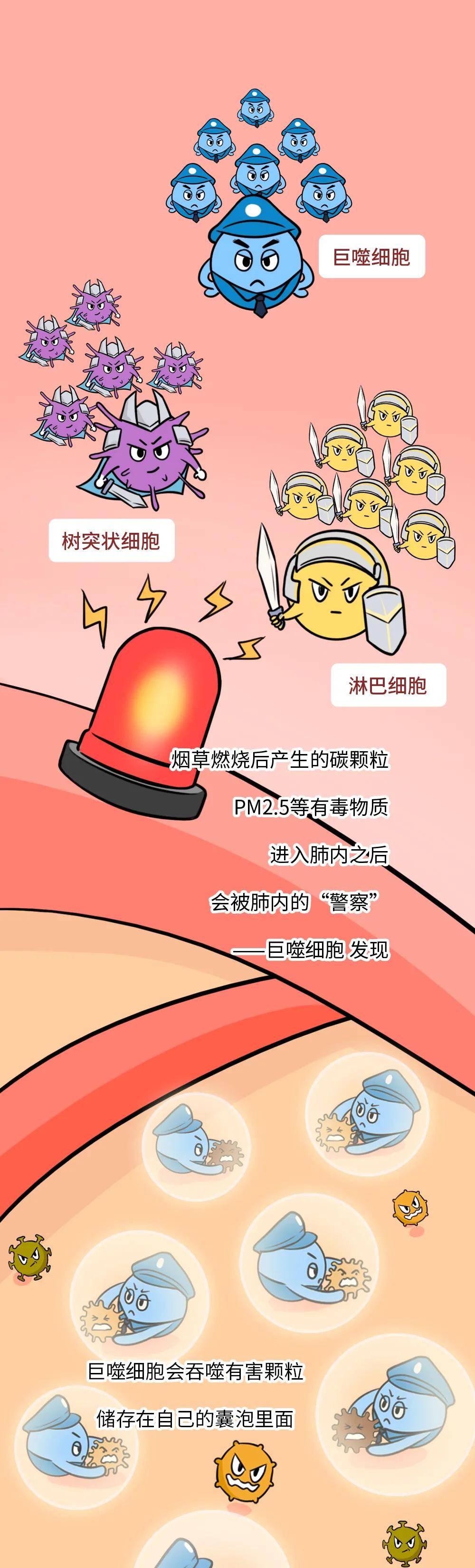 粘液|家人抽烟和不抽烟，10 年后，孩子差别居然这么大