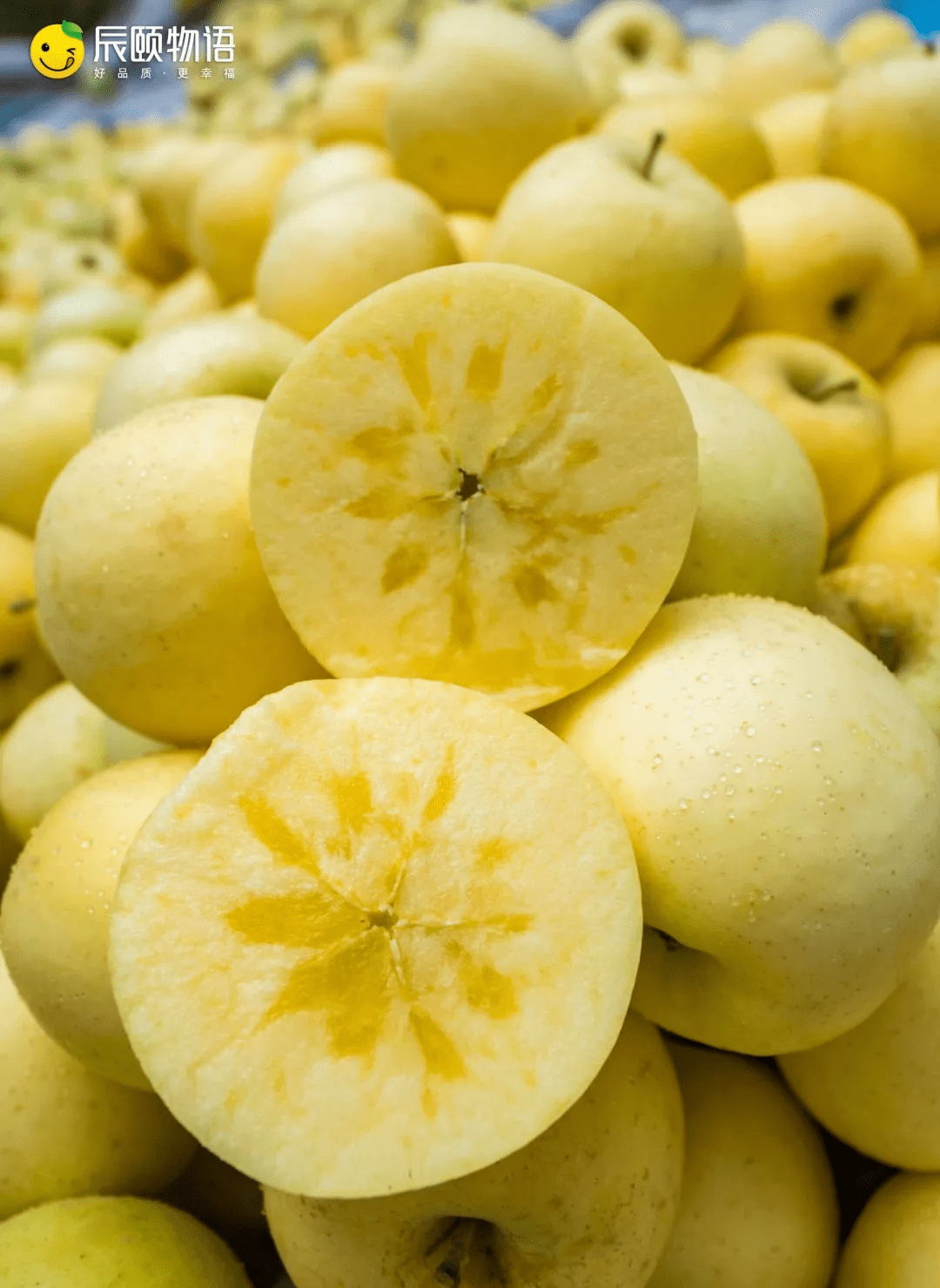 辰颐物语:新疆奶油富士 据说99%的人都没吃过_苹果