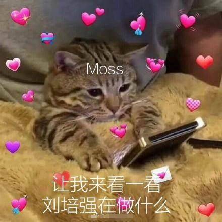 空间站|《流浪地球》MOSS圈粉，知道配音是谁后，网友纷纷表示背后发凉