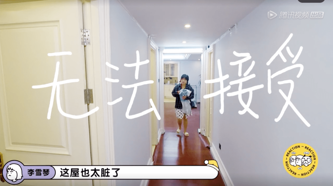 贴近生活|《毛雪汪》，在随意中创造真正的陪伴感