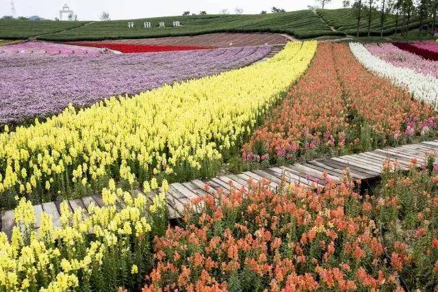 原创不要相信海枯石烂的誓言因为你等不到那一天