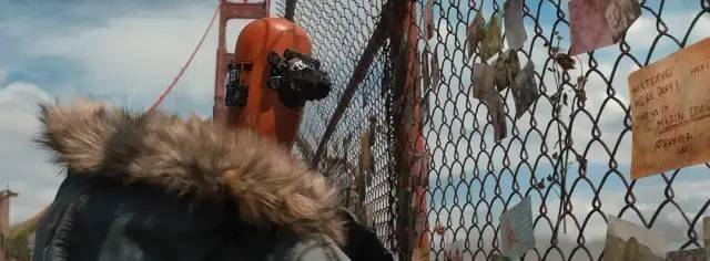 治愈|不愧是汤姆·汉克斯，撑起了人、狗、机器的末日旅程