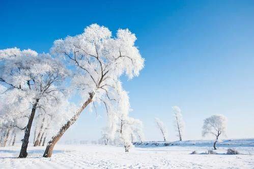 遇到大雪别抱怨　雪天也可以很美