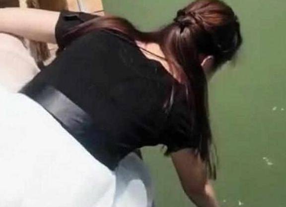 因为美女在捞水里的钱包，看到她身后的二哈，网友笑喷：美女你在作死