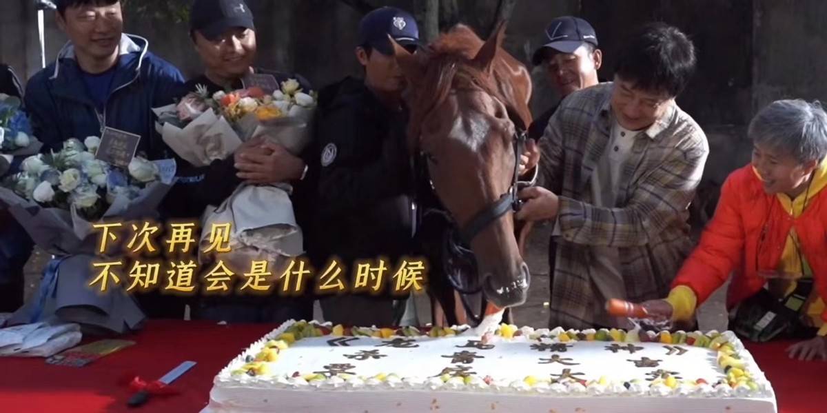 电影|成龙新片一匹马火了！电影杀青大家给它喂蛋糕，大哥还给它擦眼泪