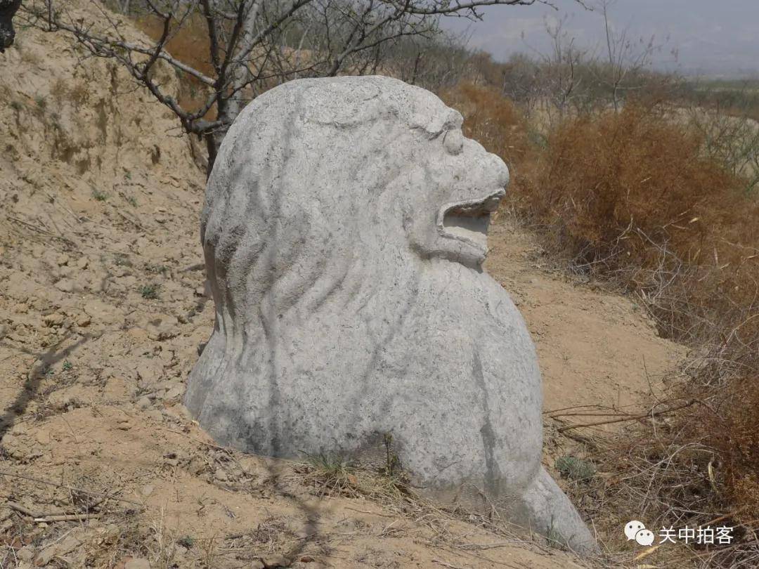 阙台|富平县白家崖村：寻访唐代宗元陵东门（青龙门）遗址