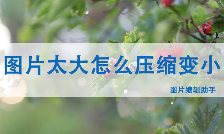 b55762cf965f45f684e534f02c004ec6.jpeg