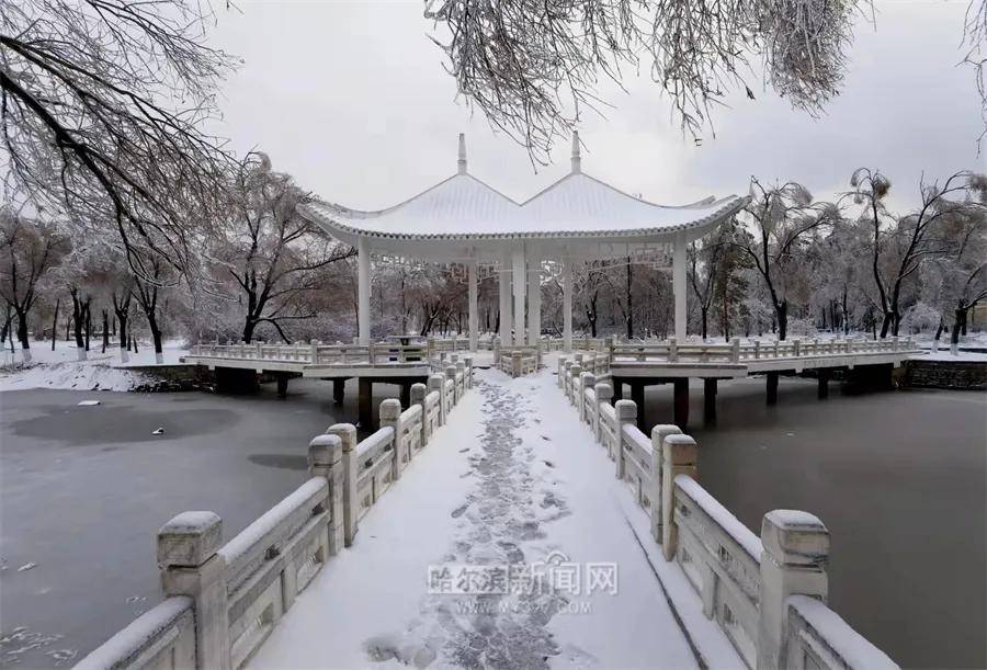 暂停|应对极端天气确保安全，太阳岛风景区暂停开放