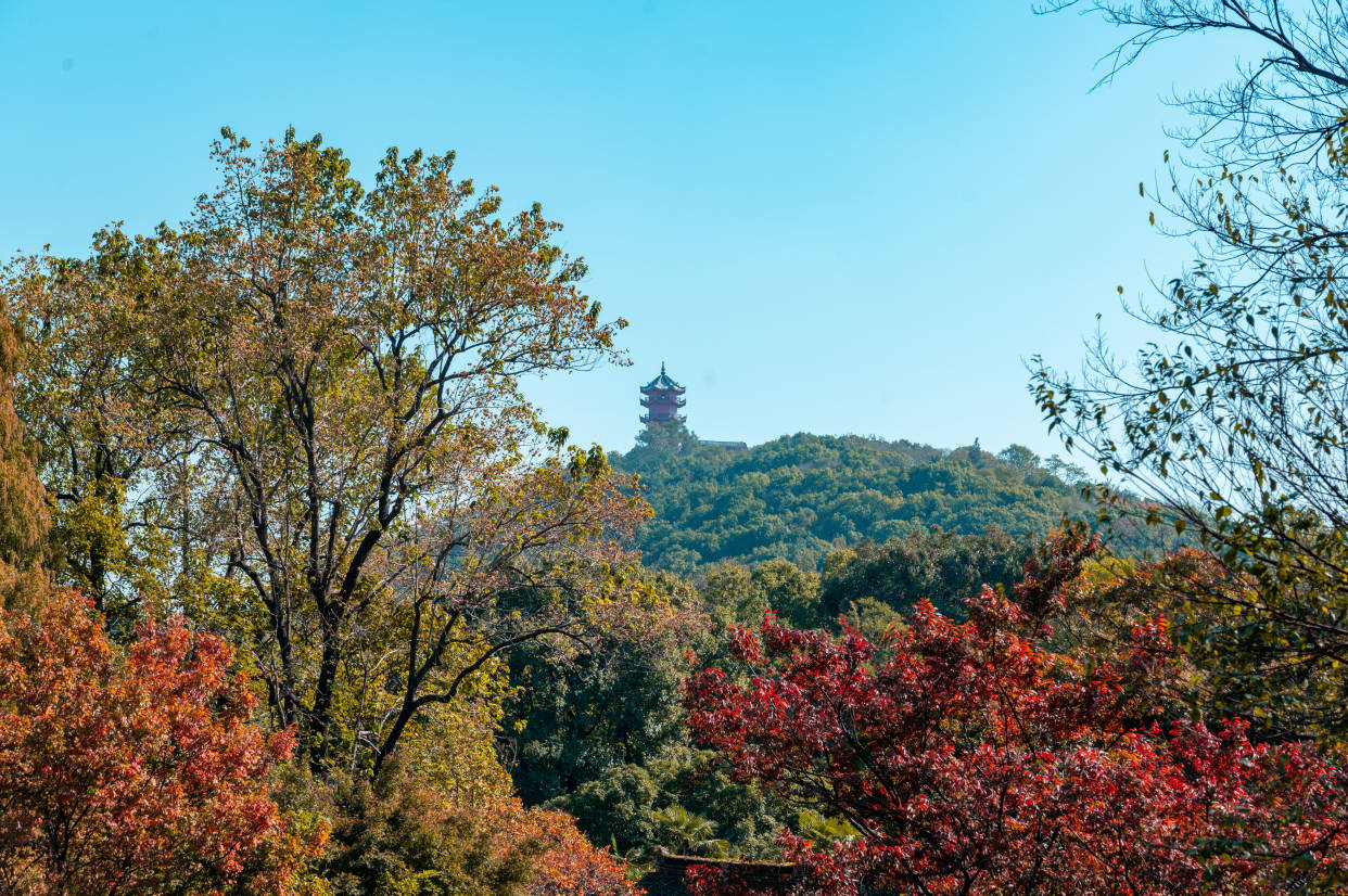 景区|距离市区最近的5A级古镇，乾隆帝对这里情有独钟，秋天的景色绝美