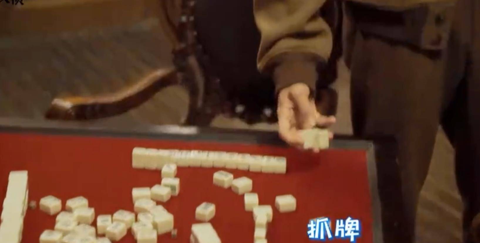 民国|《民国大侦探》花絮上线，张云龙胡一天各玩各的，评论区却沦陷了