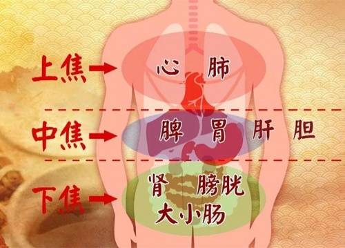 疑难病|杜保国：甲状腺疾病治疗取效关键，是恢复肝脾阴阳平衡