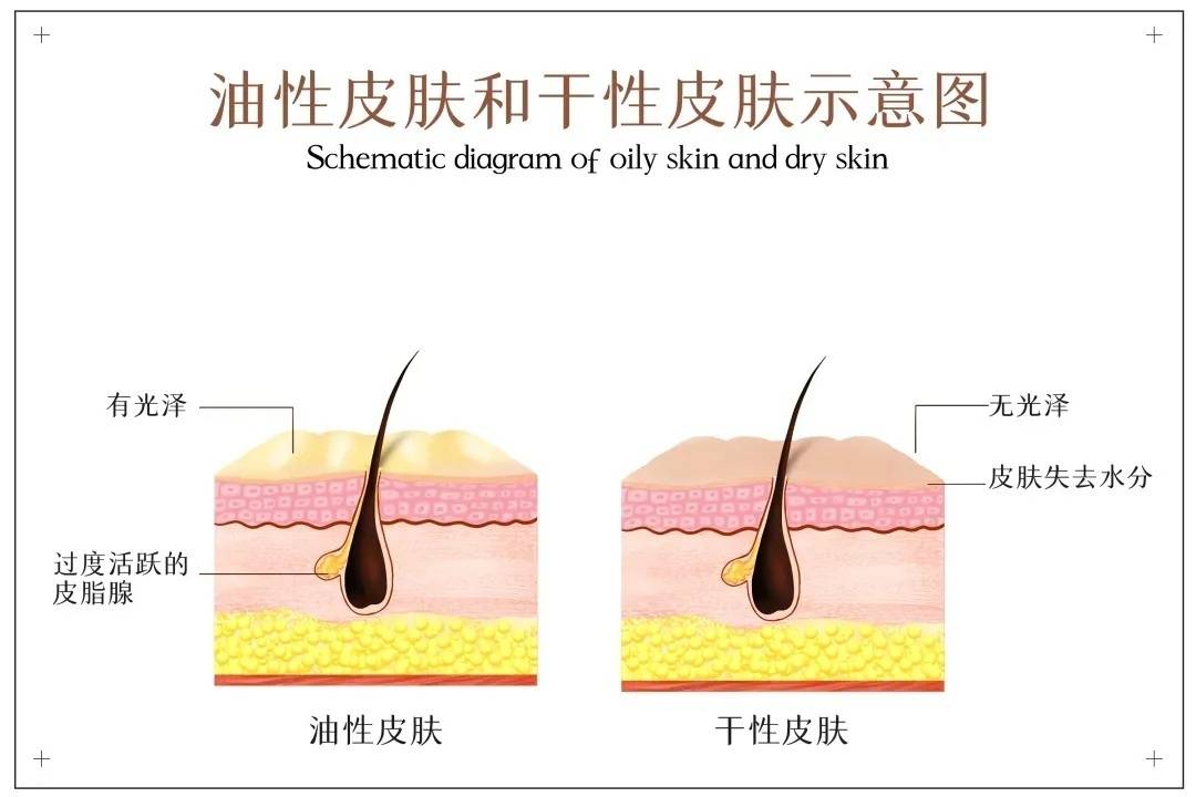 头皮疾控话健康|你购物车里的洗发水是无硅油还是有硅油的？