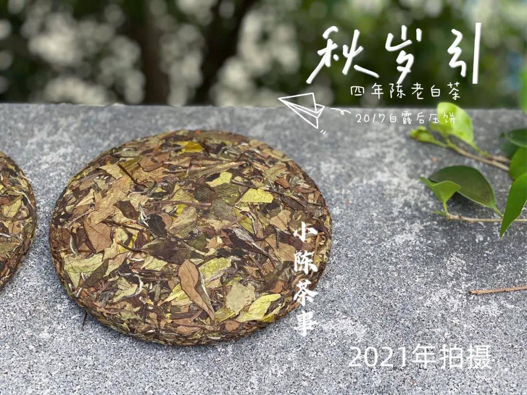 密封|家庭存白茶的4大要点，照着村姑陈的攻略做就行，白茶越存越香