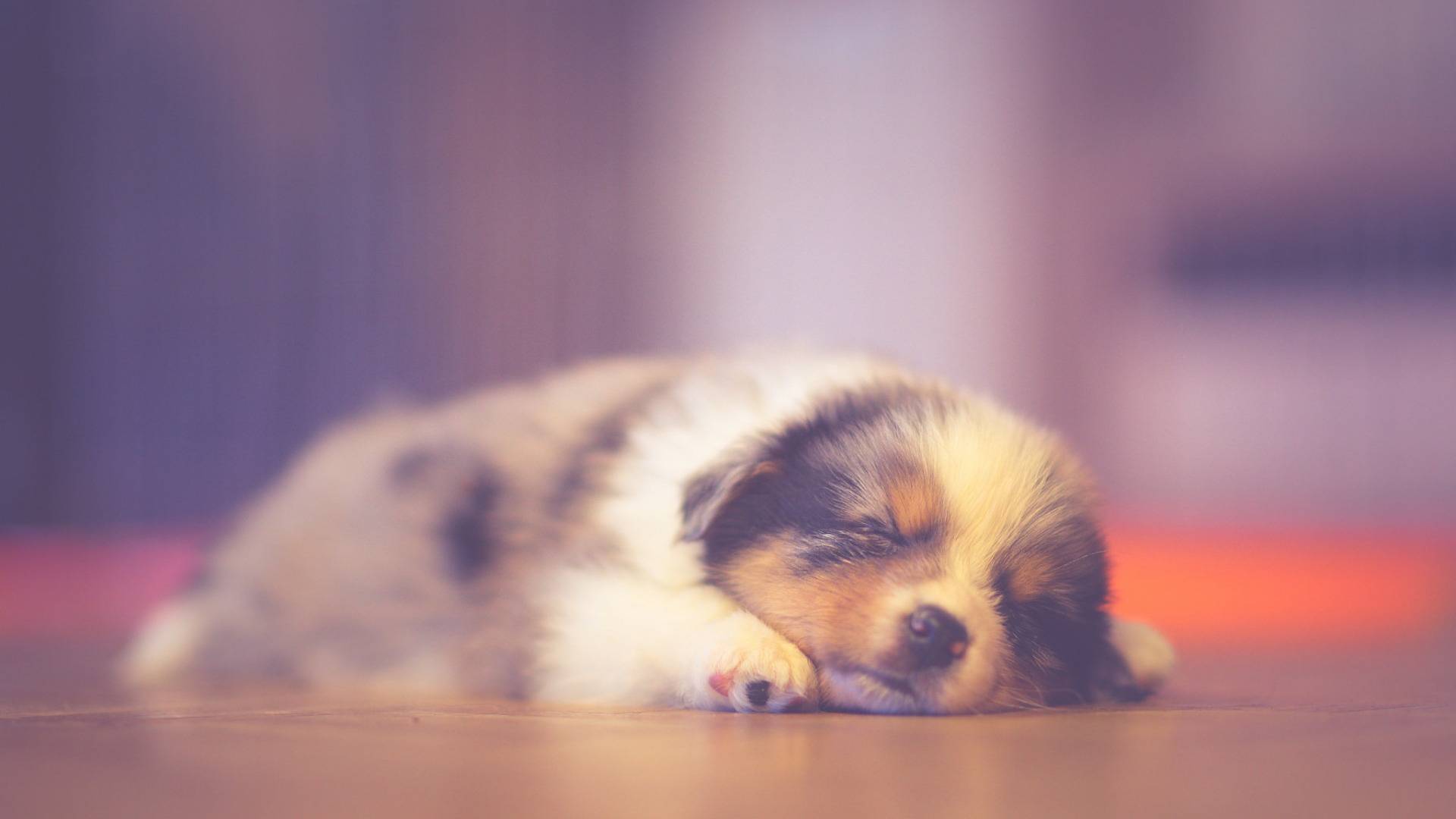 外表单纯,但阴暗面最深的三个星座,内心悲观,又在努力奔向光明_双子座