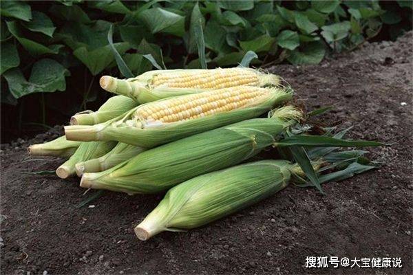 营养素|聪明人都在吃3种食物，美容养生、排毒燃脂，增强体质
