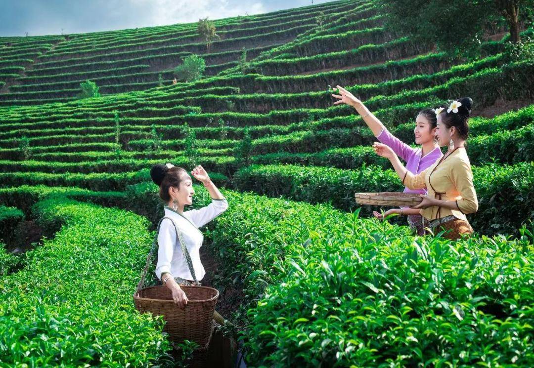 这么漂亮的傣族服饰,确定不来试一试吗?_版纳