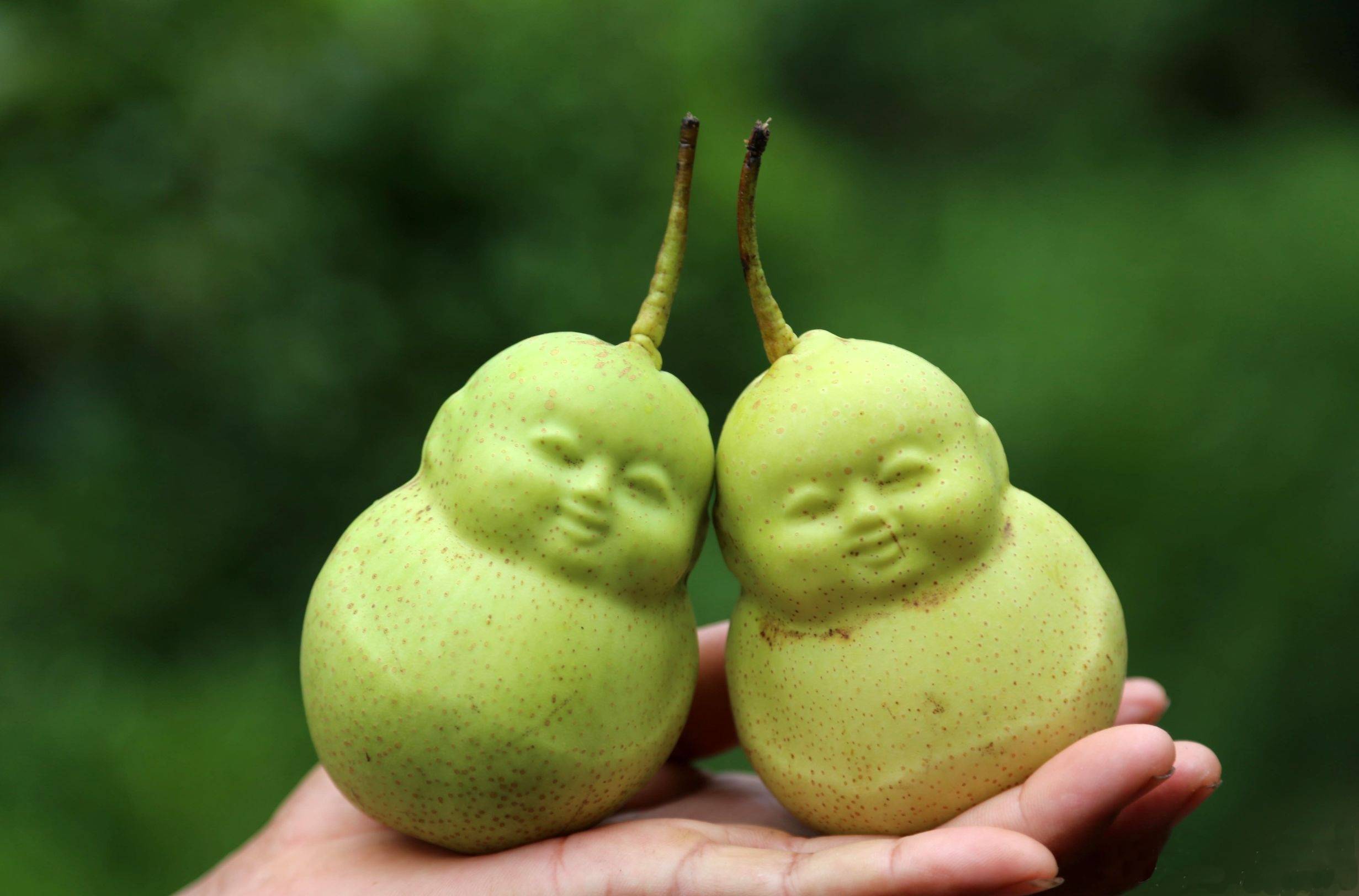 西游记3镇元子的任务佛教的绝地反击