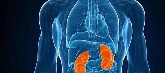 活动|这四类人肾脏很容易坏掉，警惕三种表现，做好三件事，肾会变好！
