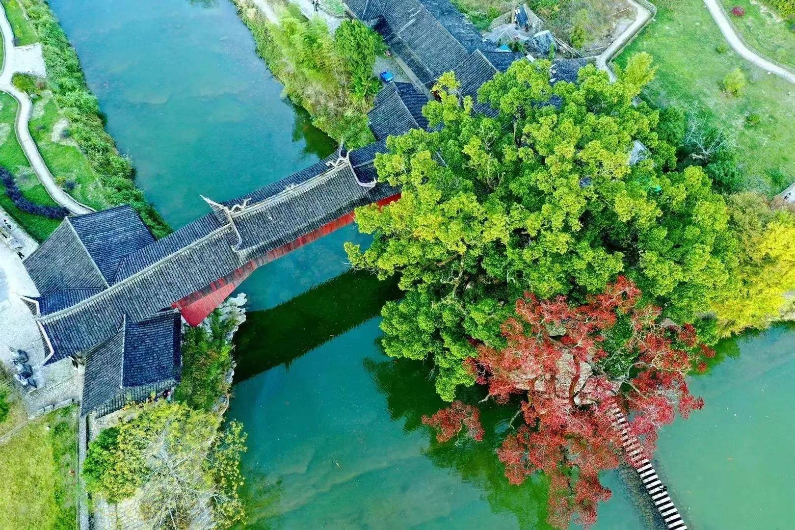 来到中国廊桥小镇泗溪，美食美景不可辜负，初冬里的抹抹红最难忘