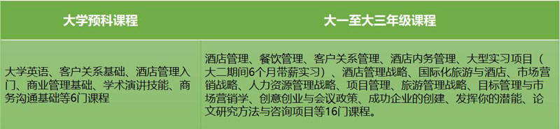 语言|全英第三大公立研究型大学伦敦城市大学，相当于国内什么学校？