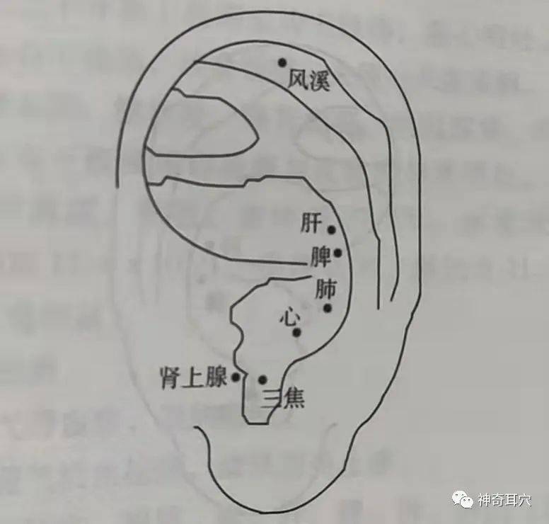 益康耳穴什么样的人容易患上季节性的浮肿什么方法治疗好