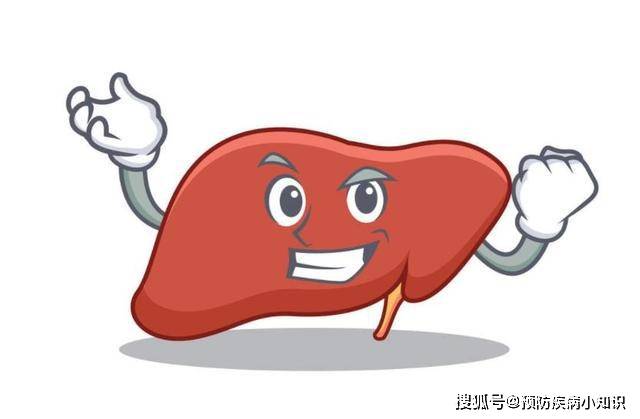 肝脏|为什么中医讲“百病从肝治”？哪些因素会导致肝脏受损？建议避开