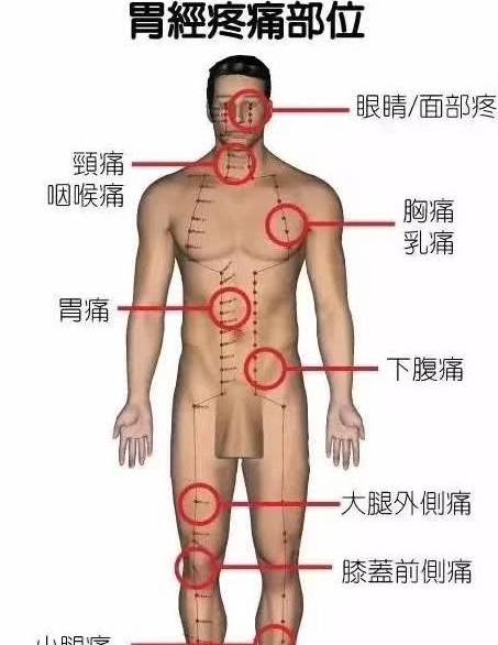 身体骨骼结构图五脏六腑 26d428242ebe46629c1d273de75a820a.jpeg