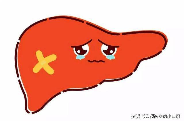 肝脏|为什么中医讲“百病从肝治”？哪些因素会导致肝脏受损？建议避开