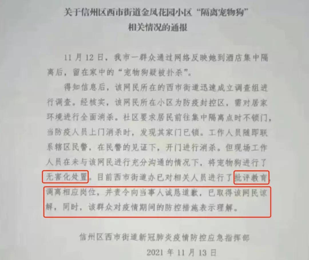 小区她去酒店后，锁被撬了，狗被杀了...