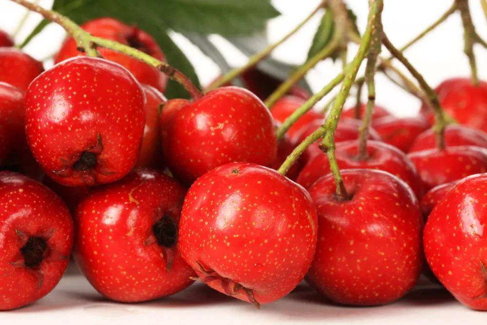 时间|入睡难、睡眠浅、爱做梦...是你的心肝脾肾在“呼救”！