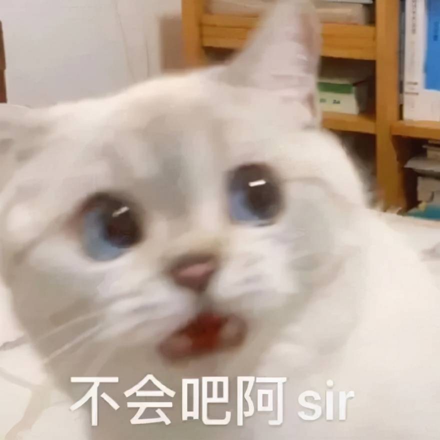 c3fef914135b41aaa5351a4129242057.jpeg