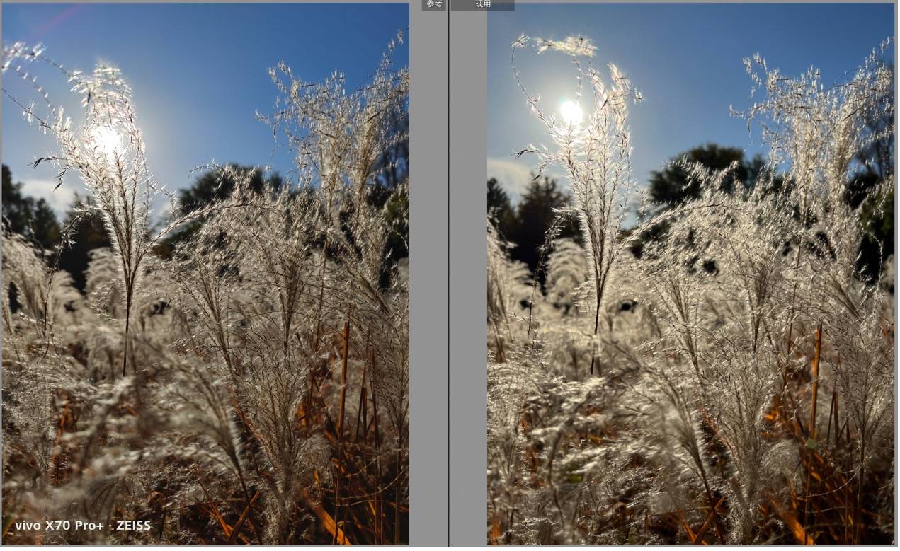 iPhone 13影像系统解析，iPhone 13 Pro Max与X70 Pro+影像对比