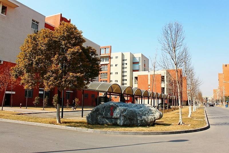 假以时日,恐怕整体实力都要被郑州大