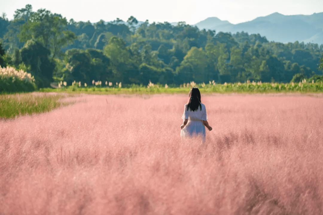 山野|走过很多城市，最爱的还是腾冲秋之美