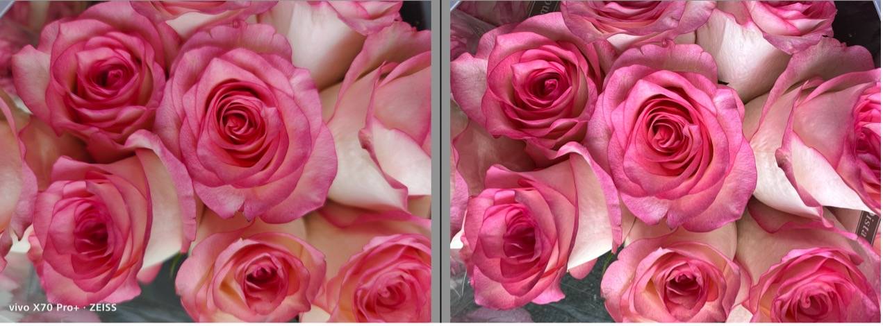 iPhone 13影像系统解析，iPhone 13 Pro Max与X70 Pro+影像对比