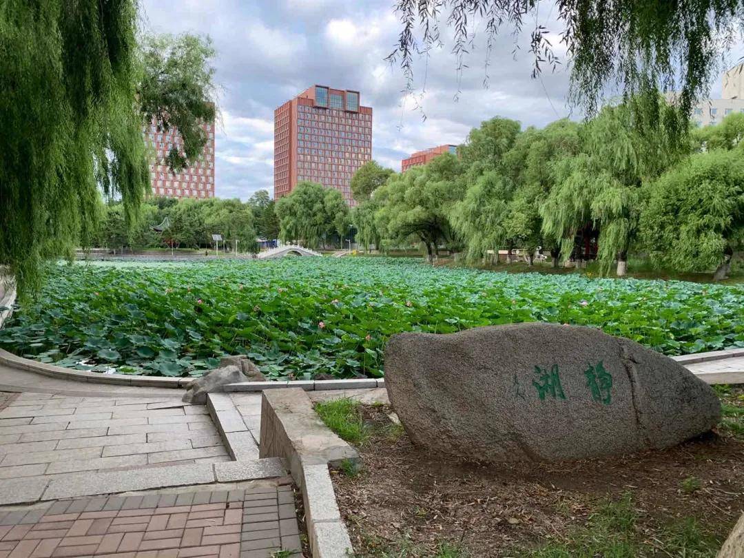净月大学城包含高校:东北师范大学 吉林财经大学,长春中医药大学